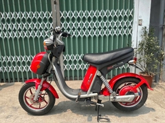 Xe đạp điện Nijia