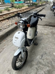 Xe đạp điện Nijia