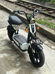 Xe điện M133s nhập