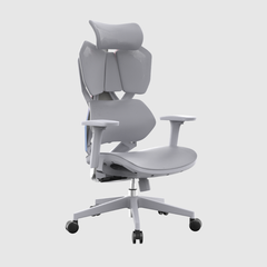 Ghế công thái học Gami X5 - Luna