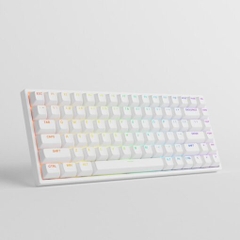 Bàn Phím Cơ AKKO 3084 v2 RGB (Foam tiêu âm / Hotswap / AKKO CS Jelly switch)