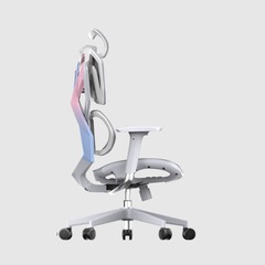 Ghế công thái học Gami X5 - Luna