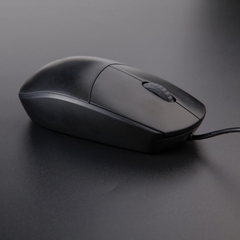 Chuột Quang USB Rapoo N100