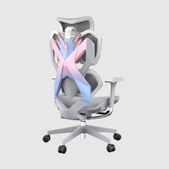 Ghế công thái học Gami X5 - Luna