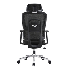 Ghế công thái học E-DRA EEC219