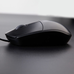 Chuột Quang USB Rapoo N100
