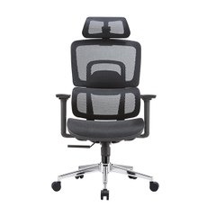 Ghế công thái học E-DRA - EEC220 (Đệm mông lưới)