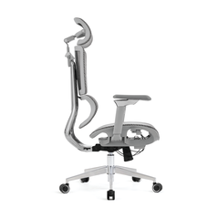 Ghế Công Thái Học Upgen Nexus - Tối ưu hoá không gian, tính năng đa dạng (Hàng Chính Hãng)