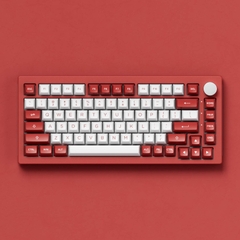 Bàn phím cơ AKKO 5075B Plus Chicago (Hotswap/RGB/Multi-modes)