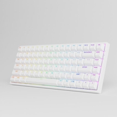 Bàn Phím Cơ AKKO 3084 v2 RGB (Foam tiêu âm / Hotswap / AKKO CS Jelly switch)