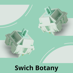 Bộ Switch Akko Botany ( 5 pin / 45 switch)