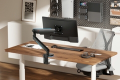 Arm Màn Hình Thronmax MX-100
