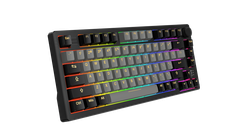 Bàn phím cơ DAREU EK75 PRO BLACK GOLDEN / EK75 Black White (Triple Mode, Gasket Mount, RGB)