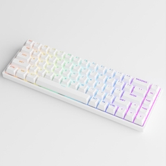 Bàn Phím Cơ AKKO 3068 v2 RGB (Foam tiêu âm / Hotswap / AKKO CS Jelly switch)