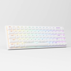 Bàn Phím Cơ AKKO 3068 v2 RGB (Foam tiêu âm / Hotswap / AKKO CS Jelly switch)