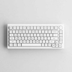 Bộ keycap AKKO Black on White BoW (ABS Double-Shot / SAL profile / 195 nút)
