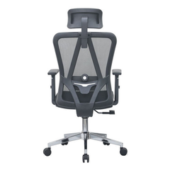 Ghế công thái học E-DRA EEC213