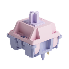 Bộ Switch AKKO Fairy Silent ( 5 pin / 45 switch)
