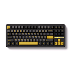 Bàn phím cơ AKKO TAC87 Black & Gold Mirror Switch 3 Mode