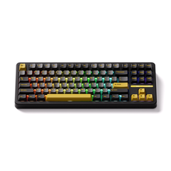 Bàn phím cơ AKKO TAC87 Black & Gold Mirror Switch 3 Mode