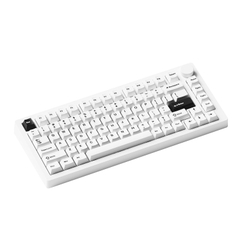 Bàn phím cơ MonsGeek M1 V5 Black on white Mirror Switch