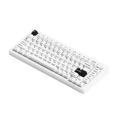 Bàn phím cơ MonsGeek M1 V5 Black on white Mirror Switch