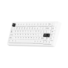 Bàn phím cơ MonsGeek M1 V5 Black on white Mirror Switch
