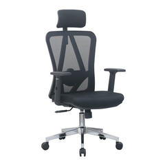 Ghế công thái học E-DRA EEC213