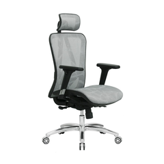 Ghế công thái học E-DRA EEC215