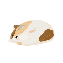 Chuột AKKO Cat Theme Mouse – Calico