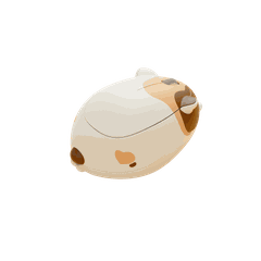 Chuột AKKO Cat Theme Mouse – Calico
