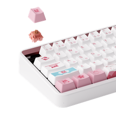 Bàn phím cơ AKKO JIN01 Tokyo