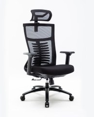 Ghế công thái học ergonomic WARRIOR - WEC502 / WEC502 Plus Black / WEC506 / WEC509