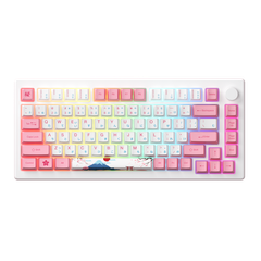 Bàn phím AKKO MOD007B-HE PC Santorini (Rapid Trigger / 8K Polling Rate / Magnetic Switch)