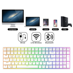 RK100 - Bàn phím cơ bluetooth không dây RK100 Led RGB có Hotswap (Bluetooth 5.0 / Wireless 2.4G / dây Type-c)