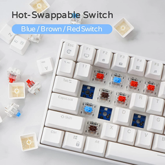 RK100 - Bàn phím cơ bluetooth không dây RK100 Led RGB có Hotswap (Bluetooth 5.0 / Wireless 2.4G / dây Type-c)