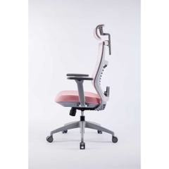 Ghế công thái học ergonomic WARRIOR - WEC502 / WEC502 Plus Black / WEC506 / WEC509
