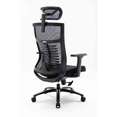 Ghế công thái học ergonomic WARRIOR - WEC502 / WEC502 Plus Black / WEC506 / WEC509