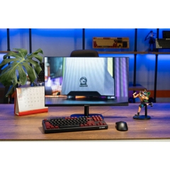 Màn hình Gaming E-DRA EGM25F100P 25 inch FullHD 100hz