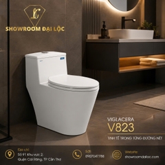 Bồn cầu 1 khối Viglacera V823