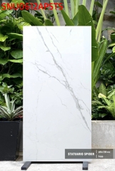Gạch nhập khẩu Ấn Độ Statuario spider - polish - SNU0612APSTS (Kt:600x1200)