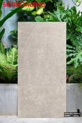 Gạch nhập khẩu Ấn Độ Pietra Gris Grande - hight glossy - SIC0612AGPGG (Kt:600x1200)