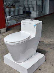 Bồn cầu 1 khối Viglacera V823