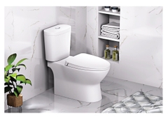 Bồn cầu 2 khối Caesar CD1320