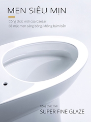 Bồn cầu 2 khối Caesar CD1349