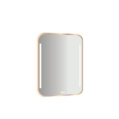 Gương led cảm ứng Đình Quốc ĐQ 99902B 60x80 cm mạ inox viền PVD