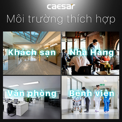 Hộp xà phòng nước đơn gắn tường Caesar Q831