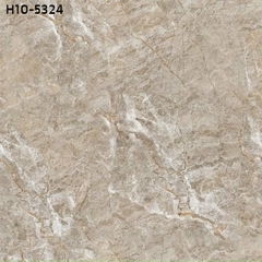 Gạch lát nền men bóng 50x50 : HCM10 - 5324