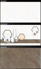 Gạch ốp tường Ceramic Bóng: C10-CB36067, C10-CDB36067, C10-CB36068