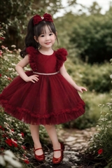 maroon-fairy-dream-dress-tulle-birthday-girl-dress